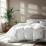 Serta Goose Feather Down Fiber Cotton Comforter Queen Size - 100% Cotton Down Duvet Insert - Hotel Luxury Hypoallergenic Bedding Comforter All Season Medium Warmth 90 x 90 Inch White