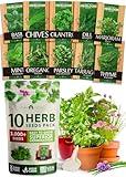 10 Culinary Herb Seeds - Non-GMO, Heirloom Seeds - 3000+ Seeds for Planting for Outdoor or Indoor Herb Garden, Basil, Cilantro, Parsley, Chives, Thyme, Oregano, Dill, Marjoram, Mint, Tarragon