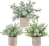 Der Rose 3 Pack Mini Potted Fake Plants Artificial Plastic Eucalyptus Plants Topiaries for Home Office Desk Farmhouse Room Decor