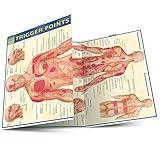 Trigger Points Laminated Reference Guide (QuickStudy Academic)