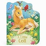 A Little Colt: A Baby Horse Board Book Story