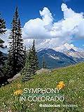 Symphony in Colorado