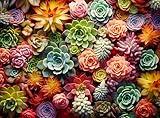 1000 Piece Puzzle for Adults - Succulent plants Puzzle - Family Puzzle Toys, Puzzle Puzzles gift (Succulent, 1000 pieces)