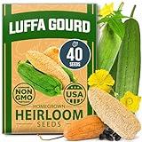 HOME GROWN Luffa Seeds - 40 Non-GMO and Heirloom Loofah Seeds for Planting, USA Sourced, Ideal Seeds for Planting Vegetables and Growing Loofah Sponges or Edible Young Luffa (Luffa aegyptiaca)