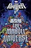 PUNISHER VS. THE MARVEL UNIVERSE