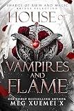 House of Vampires and Flame (Shades of Ruin and Magic Book 1)