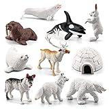 10 PCS Arctic Animals Figures, Polar Animals Figurines for Diorama School Project, Arctic Tundra Animal Toys Set with Polar Bear Deer Arcitc Fox Wolf