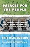 Palaces for the People: How Social Infrastructure Can Help Fight Inequality, Polarization, and the Decline of Civic Life