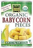 Native Forest Organic Cut Baby Corn, 14-Ounce Cans (Pack of 6)