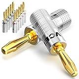 VCELINK Speaker Banana Plugs 6 Pairs/12 Pcs, 24K Gold Plated Dual-Screw Type Speaker Connector for Speaker Wire, Home Theater, Wall Plate, Audio/Video Receiver and Sound Systems (Red+Black)