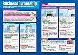 Daydream Education Business Ownership Poster - EXTRA LARGE 33” x 23.5” - Gloss Paper - Business Studies High School Classroom Decoration - Wall Charts