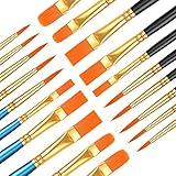 20 Pcs Paint Brush Set for Acrylic Painting, Watercolor, Miniature Detailing, and Rock Painting