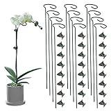 Lunhans 12 Pack Plant Support Stakes with 24 Pcs Plant Clips,Single Stem Support Stake Plant Cage Support Ring for Garden Flowers Rose Tomatoes Peony Lily Rose Herbs Vegetable