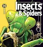 Insects & Spiders