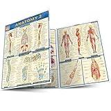 Anatomy 2 - Reference Guide (8.5 x 11): a QuickStudy Laminated Reference Guide (Quick Study Academic)