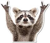 Rocking Raccoon Sticker, Funny Raccoon Cute Car Decal 5.5-Inches Decal Car Laptop Wall Window Bumper Sticker AWPS109