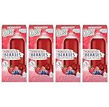 Drink Mix Hibiscus Berries | Klass Aguas Frescas | Sugar Free! (Pack of 4, 40 Count Powder Stick Packs) Shake it up! The new way to drink Aguas Frescas.