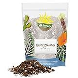 Plant Propagation Potting Mix (4 Quarts); Ideal Starter Mix for Rooting Plant Cuttings