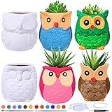 6 Sets DIY Ceramic Owl Succulent Pots Figurines Paint Craft Kit Unpainted Ceramic Bisque Paintable Owl Ceramic Flowerpots with Drainage Hole Ready to Paint for Kids Classroom Craft Project Acticity