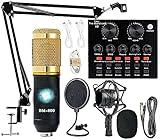 Podcast Equipment Bundle, BM-800 Recording Studio Package with Voice Changer, Live Sound Card - Audio Interface for Laptop Computer Vlog Living Broadcast Live Streaming YouTube TikTok (AM100-V8)