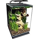 Marineland Portrait Glass LED Aquarium Kit, 5 Gallons, Hidden Filtration,Black