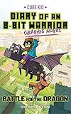 Diary of an 8-Bit Warrior Graphic Novel: Battle for the Dragon (Volume 4) (8-Bit Warrior Graphic Novels)