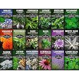 Survival Garden Seeds - 18 Medicinal Herb Seed Packets to Plant & Grow in The Home Vegetable Garden - Assortment of Herb Plant Seeds for Growing Herbal Teas & Tinctures - Non-GMO Heirloom Varieties