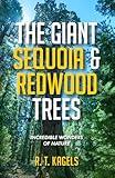 THE GIANT SEQUOIA & REDWOOD TREES: INCREDIBLE WONDERS OF NATURE