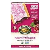 Nature's Path Organic Frosted Cherry Pomegranate Toaster Pastries, 11 Ounce (Pack of 1) Non-GMO, Made with Real Fruit