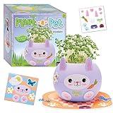 Creativity for Kids Plant-A-Pet: Bunny Chia Seed Plant Pet - Arts and Crafts for Kids, Girls Toys Ages 6-8+, Easter Basket Stuffers and Small Gifts for Girls