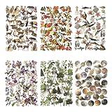 Maxleaf 240PCS Waterproof Flowers Leaves Animals Plants Nature Stickers for Art Journaling Planners Scrapbook DIY Crafts Decoration, 6 Series Nature Theme Stickers Set