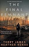 The Final Remnant: A Post-Apocalyptic Christian Fantasy