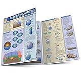 Marine Biology (Quickstudy Reference Guides - Academic)