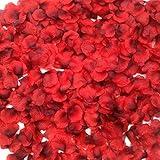 CODE FLORIST 1500 PCS Dark-Red Silk Rose Petals for Valentine's Day,Romantic Night,Wedding,Proposal Anniversary Flower Decorations(Separated,Scented)