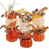 winemana Thanksgiving Decorations Set of 6 Artificial Pumpkin Berry Acorn Pine Cone Vegetables for Harvest Fall Tabletop Home Kitchen Party