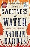 The Sweetness of Water (Oprah's Book Club): A Novel