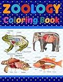 Zoology Coloring Book: Medical Anatomy Coloring Book for kids Boys and Girls. Zoology Coloring Book for kids. Stress Relieving, Relaxation & Fun ... Zoology Coloring Workbook for Kids & Adults.