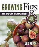 Growing Figs in Cold Climates: A Complete Guide