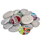 DALTACK 20PCS Large Painting Rocks, Natural River Rocks, Flat Rocks for Painting, 2-3 Inches Stones for Arts & Crafting