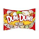 Dum Dum Fall Mix Assorted Flavor Lollipops Hard Candy 11.5 oz Bag