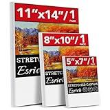 3 Pack Canvases for Painting with Multi Pack 11x14, 5x7, 8x10, Painting Canvas for Oil & Acrylic Paint