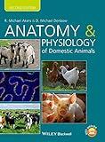 Anatomy and Physiology of Domestic Animals