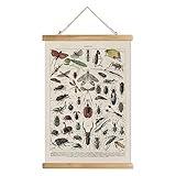 XIAOAIKA Vintage Entomology Poster - Illustrated Insect Species Chart with Wooden Frame - Educational Bug Identification Wall Art for Science Classrooms Home Office 12 x 16 Inches