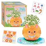 Creativity for Kids Plant-A-Pet: Kitty - Arts and Crafts for Kids Ages 6-8+, Gifts for Girls and Stocking Stuffers for Kids, Boy and Girl Toys, Chia Seed Plant Pet for Kids