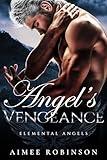 Angel's Vengeance: A Paranormal Angel Romance (Elemental Angels Book 7)