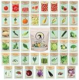 Set of 43 Assorted Vegetable & Herb Seed Packets - Over 10,000 Seeds! - Includes Mylar Storage Bag - Deluxe Garden Heirloom Seeds - 100% Non-GMO