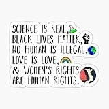 Science is Real, no Human is Illegal, Black Lives Matter, Love is Love, and Womens Rights are Human Rights Sticker - Sticker Graphic - Waterproof - Fade Resistant Die Cut