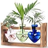 Lifecapido Heart Shaped Propagation Stations, Plant Terrarium with Wooden Stand, Plant Propagation Station for Hydroponics Office Garden Home Decor, Gifts for Women Plant Lover (3 Vases, Multicolor)