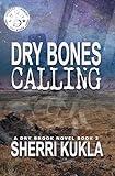 Dry Bones Calling: Dry Brook: Christian Mystery & Suspense Romance Book 2