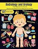 kids Anatomy Book for private parts: Gentle introduction for boys kids about Urology and Andrology male Reproductive and urinary system guide for early puberty (human anatomy book for kids)